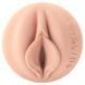 Мастурбатор Fleshlight Fantasy Evie Akashiya Sho Akuma, очень нежный, фэнтезийный канал SX2801 фото 3