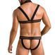 Комплект мужского белья с креплениями Passion 043 JACOB L/XL Black, трусы, шлейка SO7600 фото 2