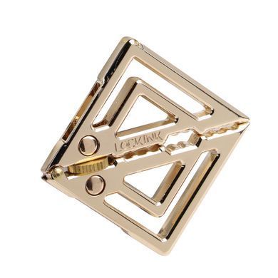 Зажимы для сосков с тяжелой подвеской LOCKINK Adjustable Nipple Clamps with Heavy Pendant - Golden SX0846 фото