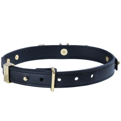 Ошейник LOCKINK Dark DIY Alphabet Collar SX0900 фото