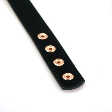 Ошейник с зажимами для сосков Liebe Seele Rose Gold Memory Collar with Nipple Clamps, кожа SO9495 фото