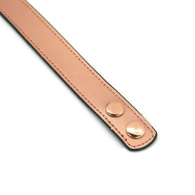 Ошейник с зажимами для сосков Liebe Seele Rose Gold Memory Collar with Nipple Clamps, кожа SO9495 фото